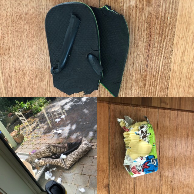 570CDFE7-9918-43CA-80A5-35502588A3B6